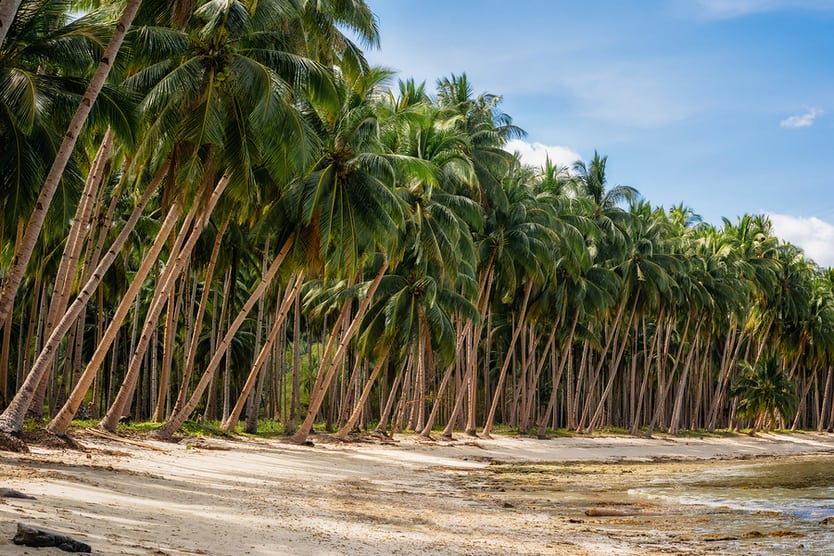 Palawan 1 week itinerary