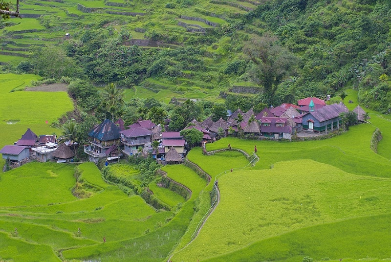 Banaue Rice Terraces