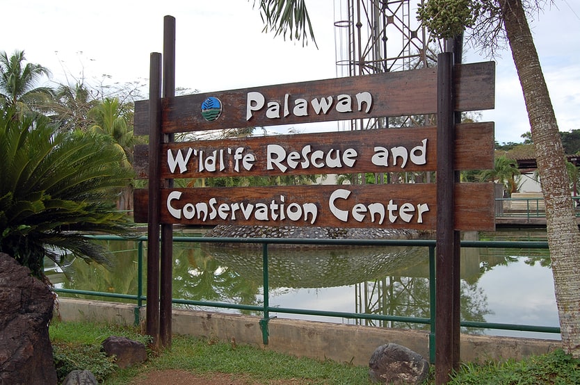 Palawan Wildlife Rescue and Conservation Centre Puerto Princesa