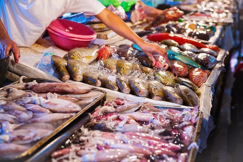 Different kinds of seafood