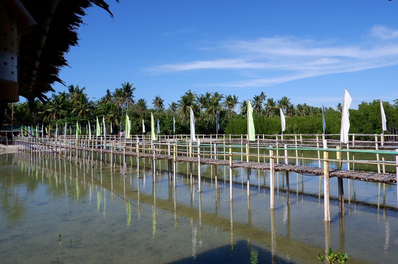 Omagieca Obo-ob Mangrove Eco Park