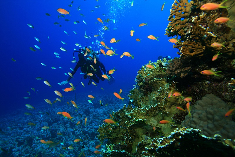 scuba diving