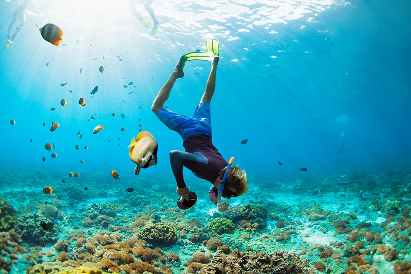 snorkeling