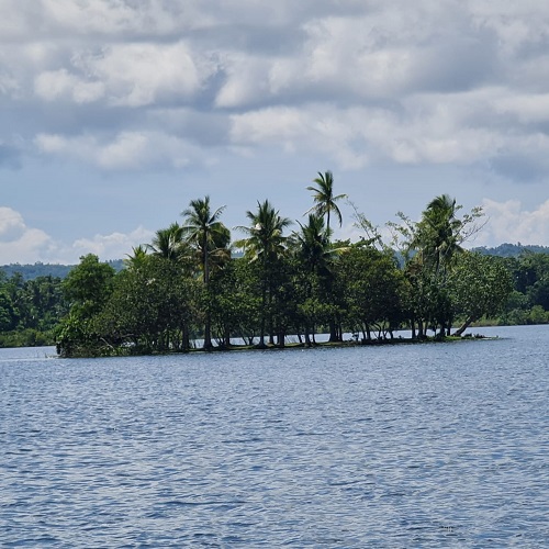 Island middle of Lake Danao cruise