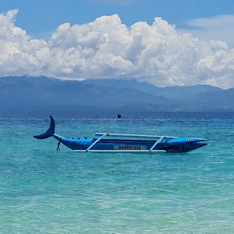 Barracuda Coastguard Boat at White Beach 2
