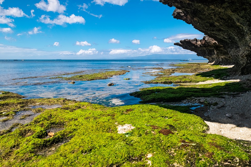 beach rock formation Siquijor Island