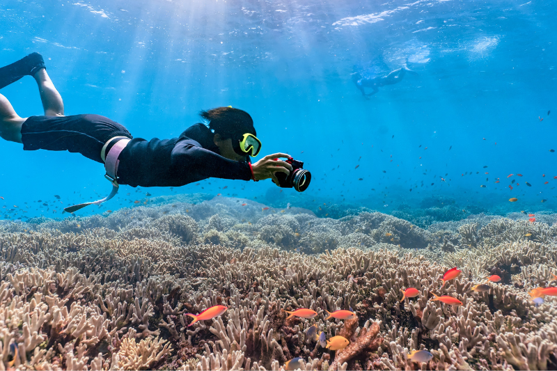underwaters of Cebu